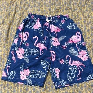 Amazon Navy Flamingo Print Men's Shorts